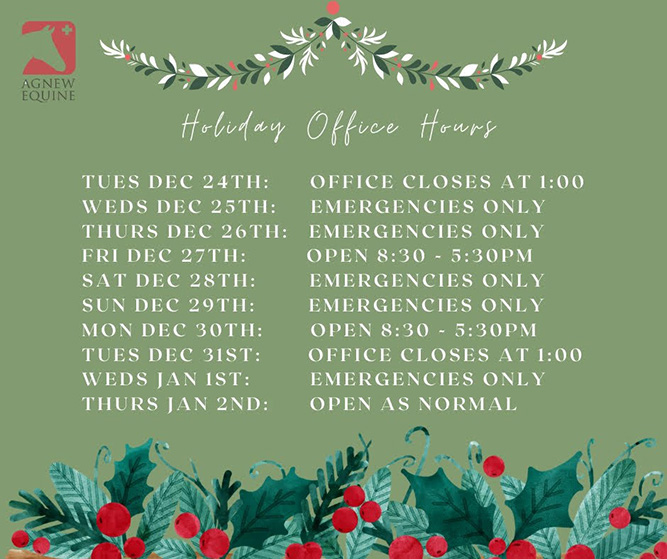 Xmas Opening Times