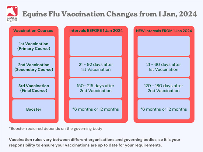 Equine Flu Vaccination Changes from Jan 1, 2024