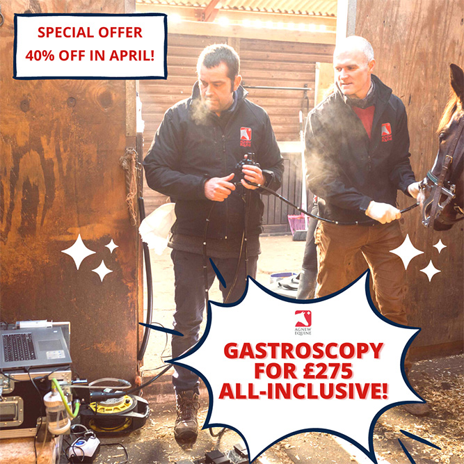 April Gastroscopy Offer