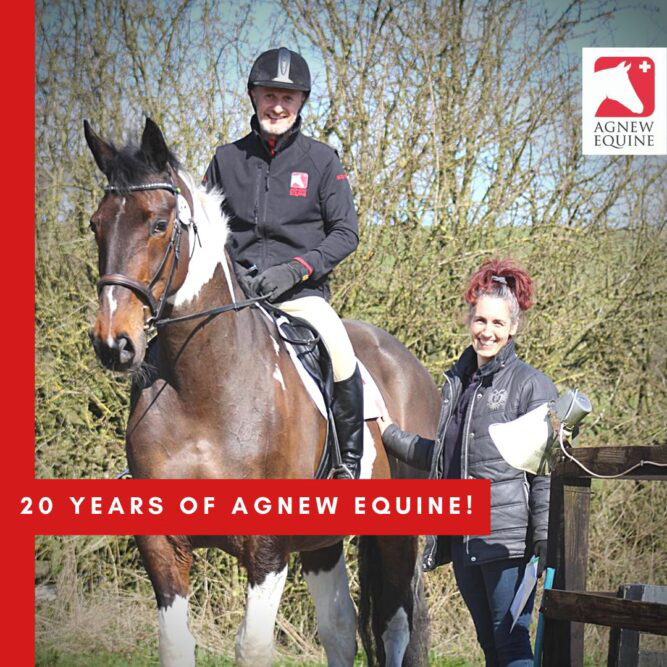 Happy 20th Anniversary Agnew Equine Image