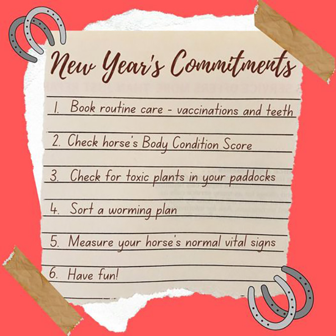 New Year's Commitments For A Healthy Horse In 2023
