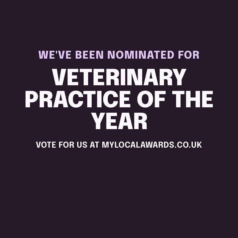 Veterinary Practice of the Year Awards