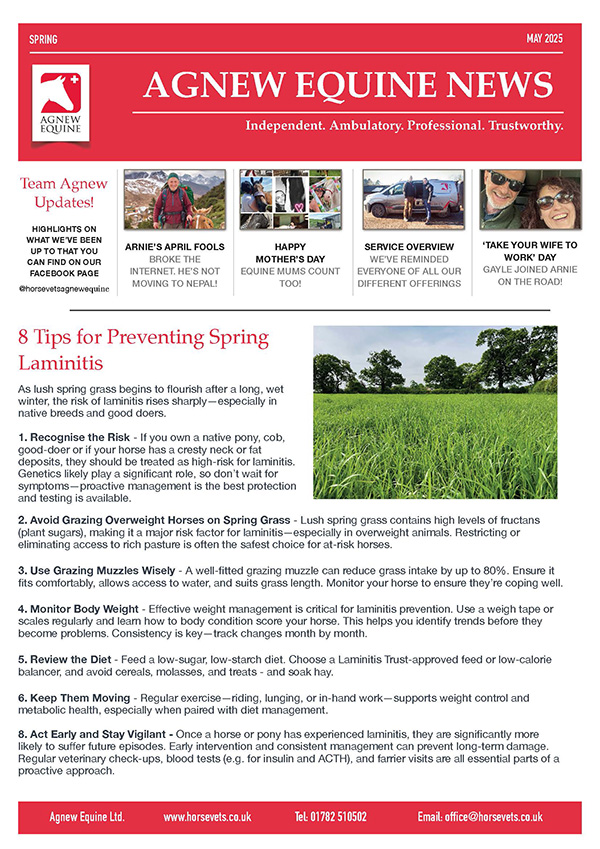 Spring Newsletter 2025