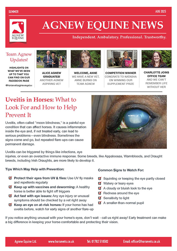 Summer Newsletter 2025