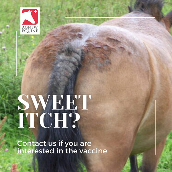 Sweet Itch Vaccine