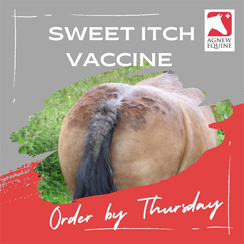 Sweet Itch Vaccine