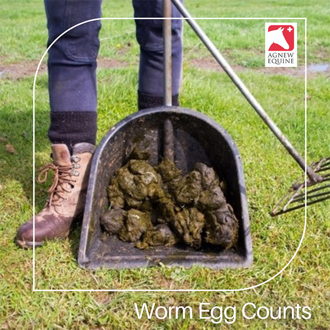 Send Off Your Worm Egg Count For Agnew Vets By The End Of July!