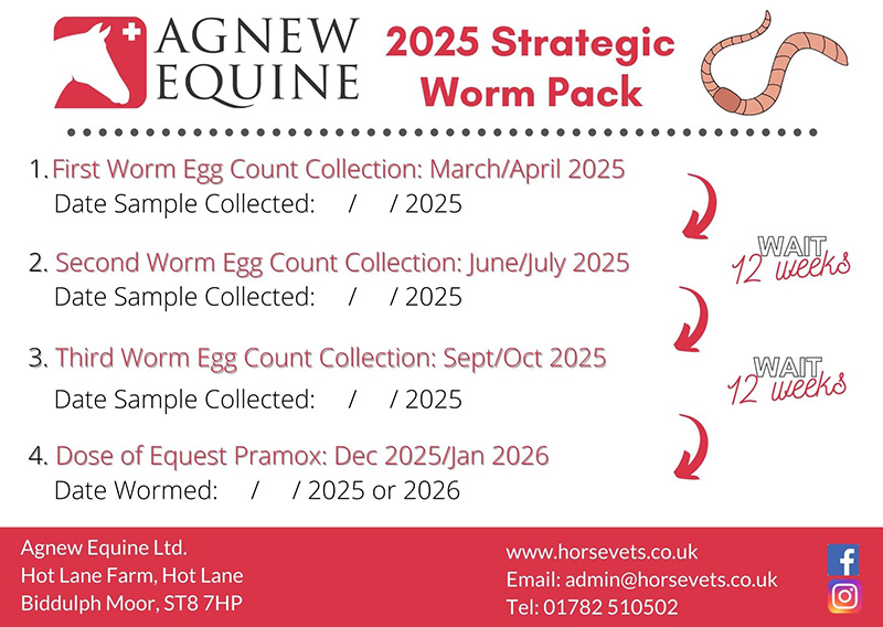 Strategic Equine Worm Packs Offer