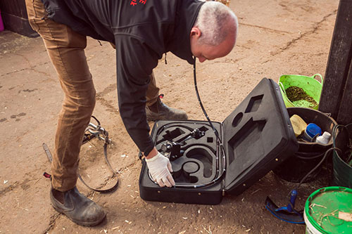 Equine Endoscopy