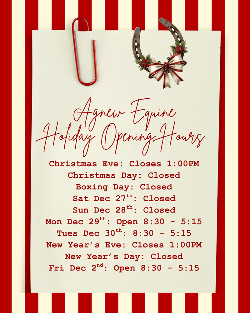 Holiday Opening Hours
