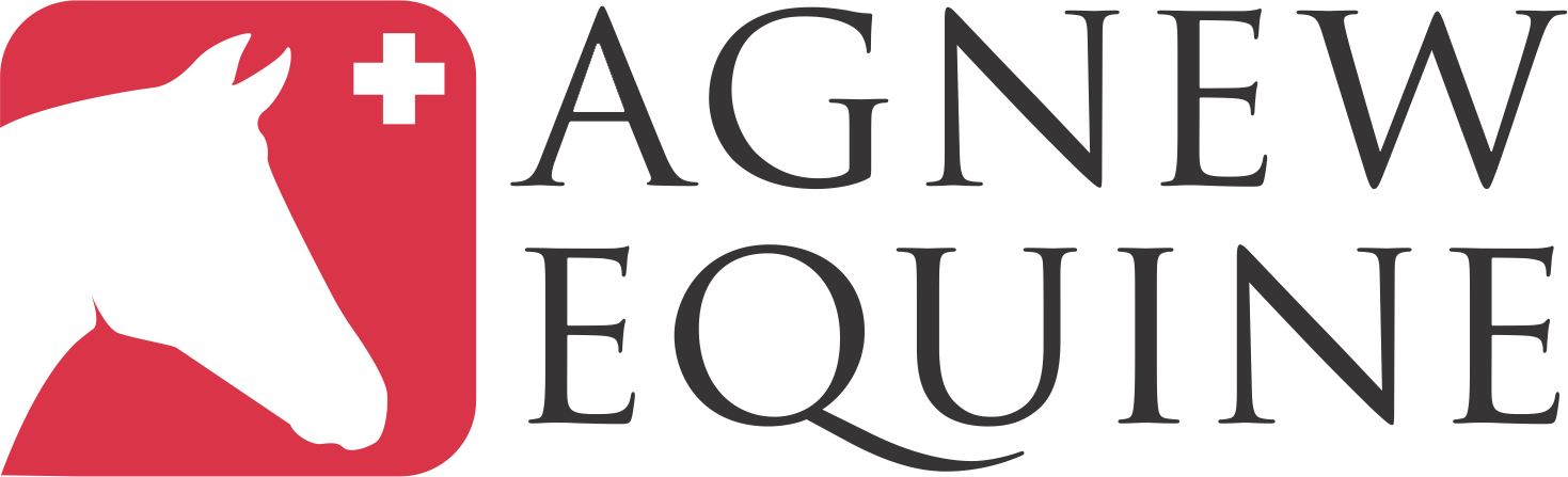 Agnew Equine logo image