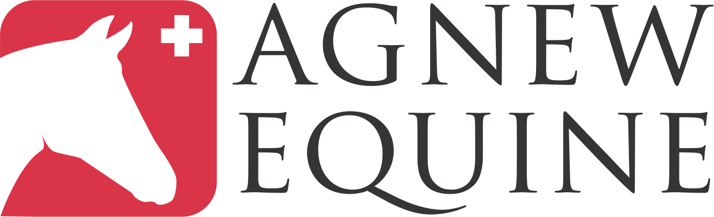 Agnew Equine