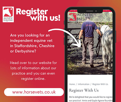 Equine vet practice in Staffordshire, Derbyshire or Cheshire