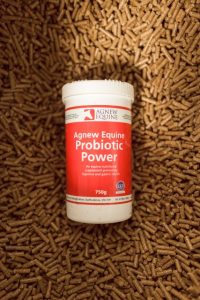 Probiotic Power Equine Supplement